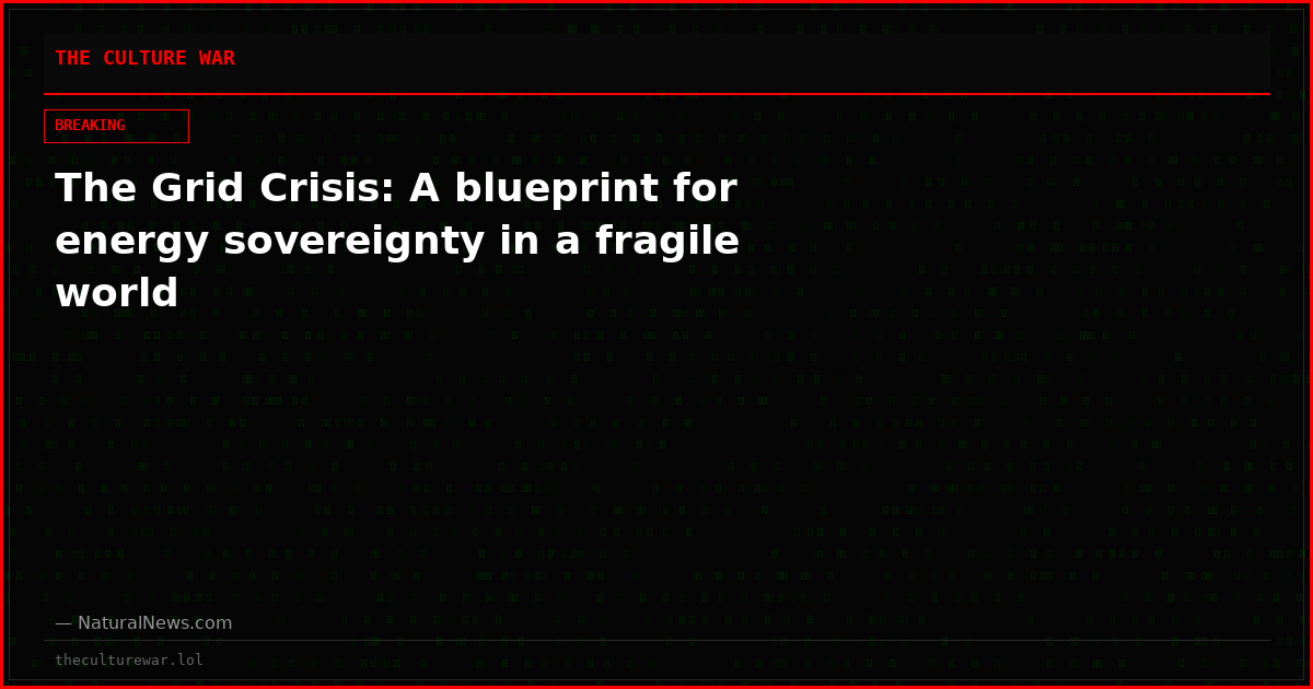 The Grid Crisis: A blueprint for energy sovereignty in a fragile world