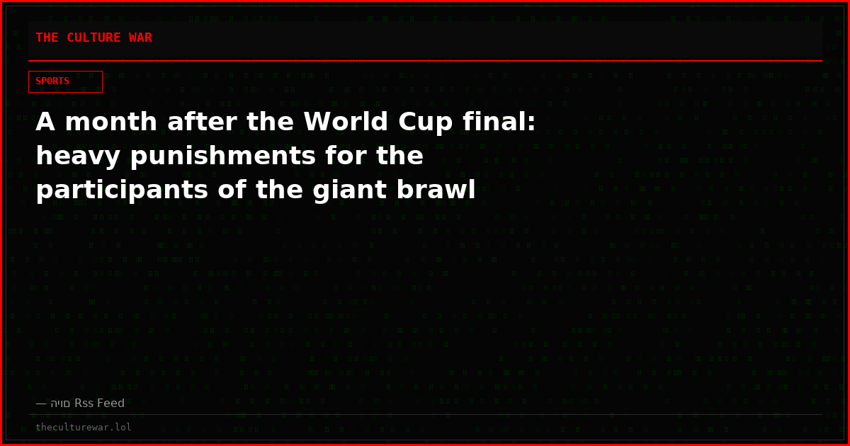 A month after the World Cup final: heavy punishments for the participants of the giant brawl