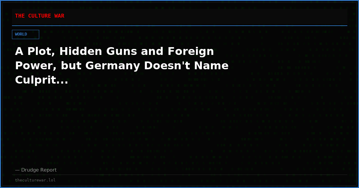 A Plot, Hidden Guns and Foreign Power, but Germany Doesn't Name Culprit...
