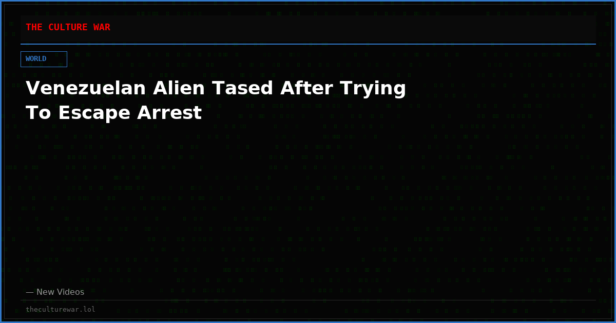 Venezuelan Alien Tased After Trying To Escape Arrest