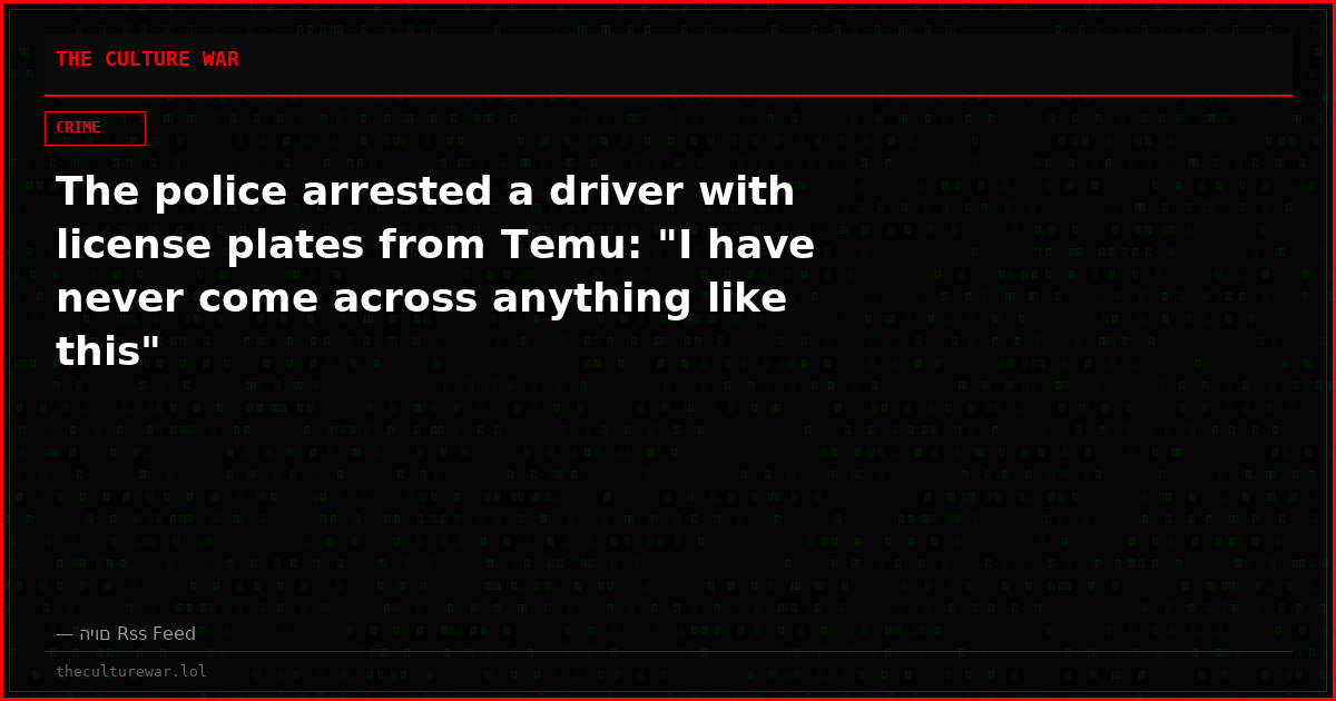 The police arrested a driver with license plates from Temu: "I have never come across anything like this"
