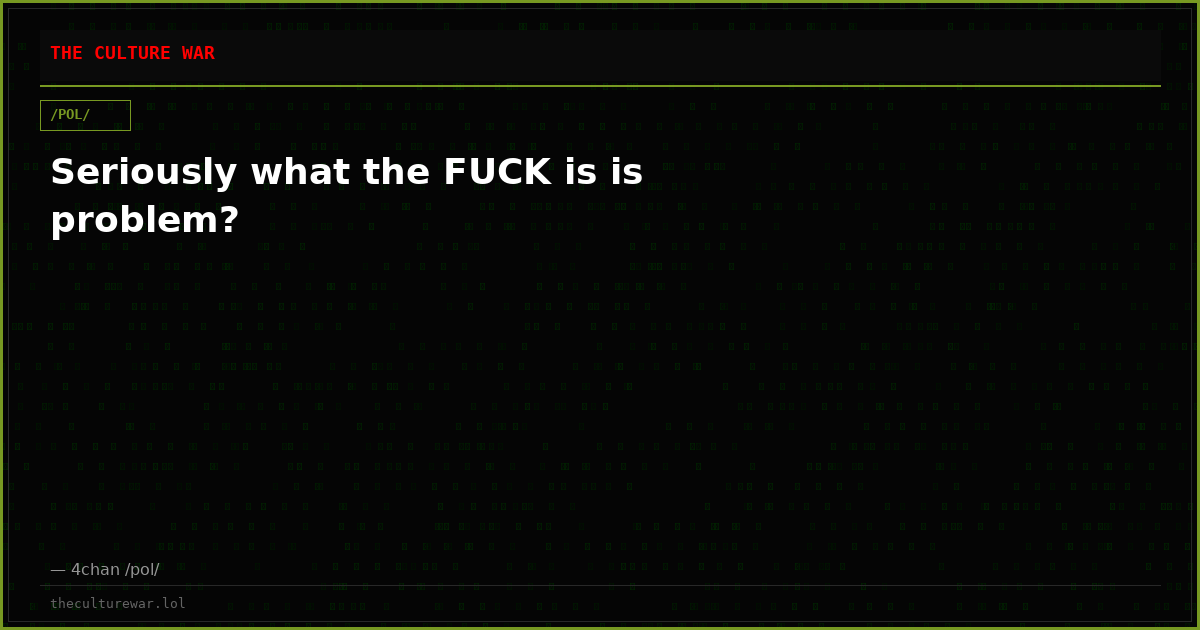Seriously what the FUCK is is problem?
