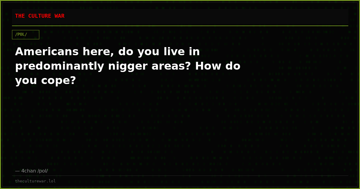Americans here, do you live in predominantly nigger areas? How do you cope?