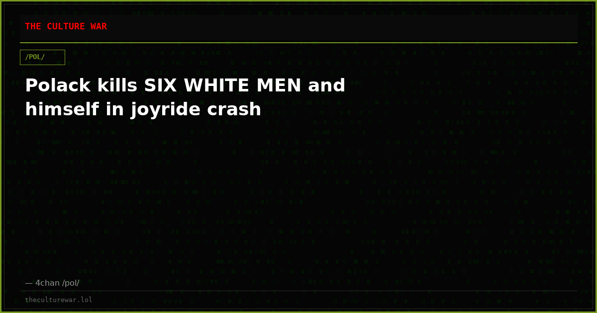 Polack kills SIX WHITE MEN and himself in joyride crash