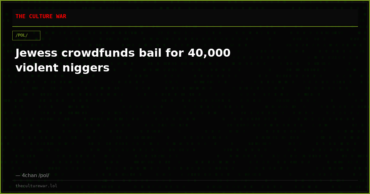 Jewess crowdfunds bail for 40,000 violent niggers