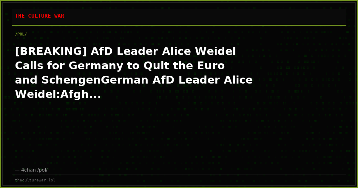 [BREAKING] AfD Leader Alice Weidel Calls for Germany to Quit the Euro and SchengenGerman AfD Leader Alice Weidel:Afgh...