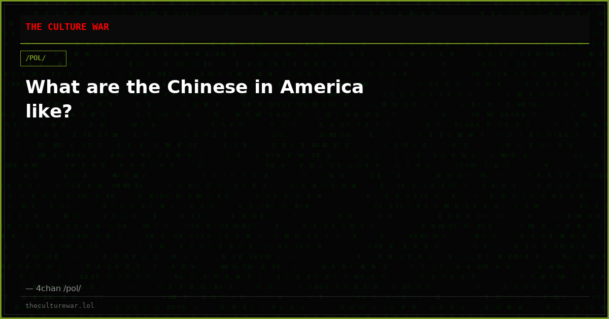 What are the Chinese in America like?