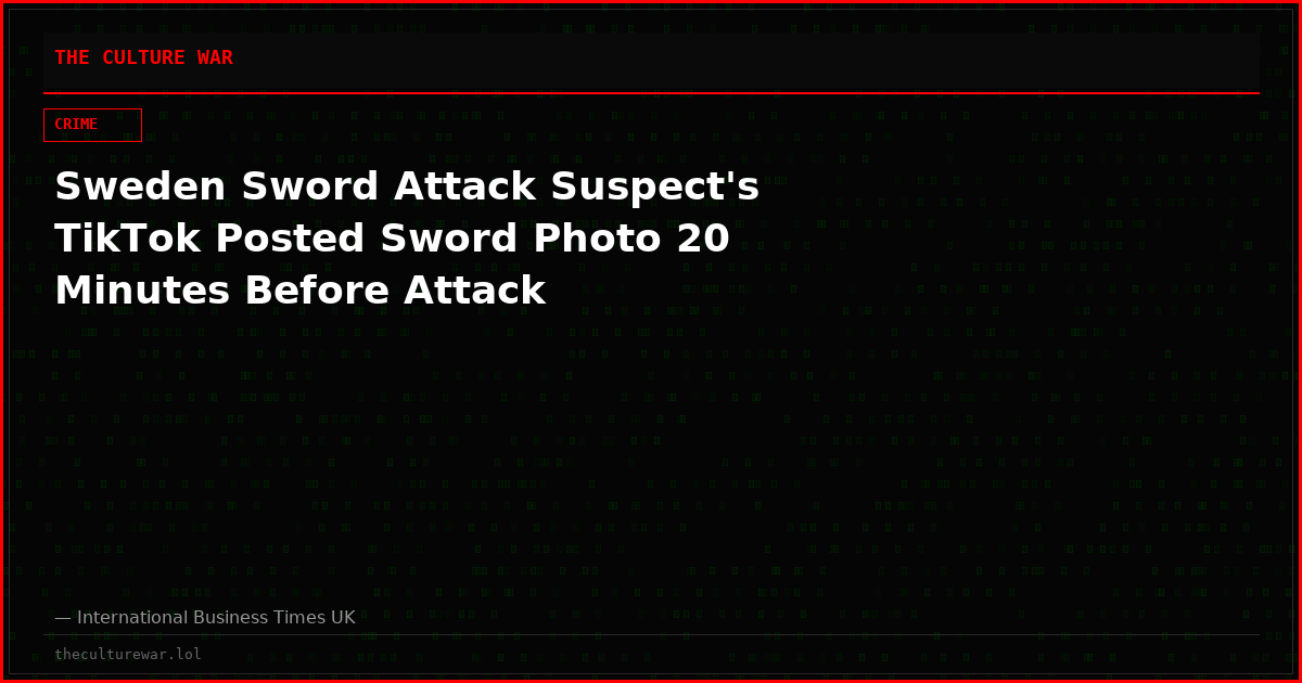 Sweden Sword Attack Suspect's TikTok Posted Sword Photo 20 Minutes Before Attack