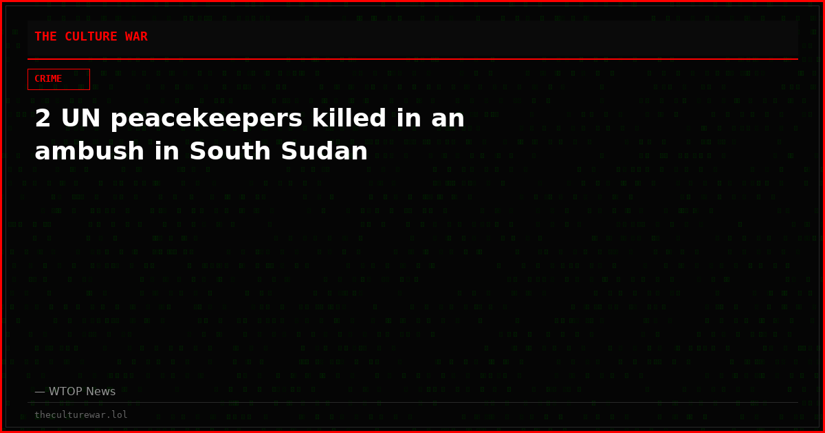 2 UN peacekeepers killed in an ambush in South Sudan