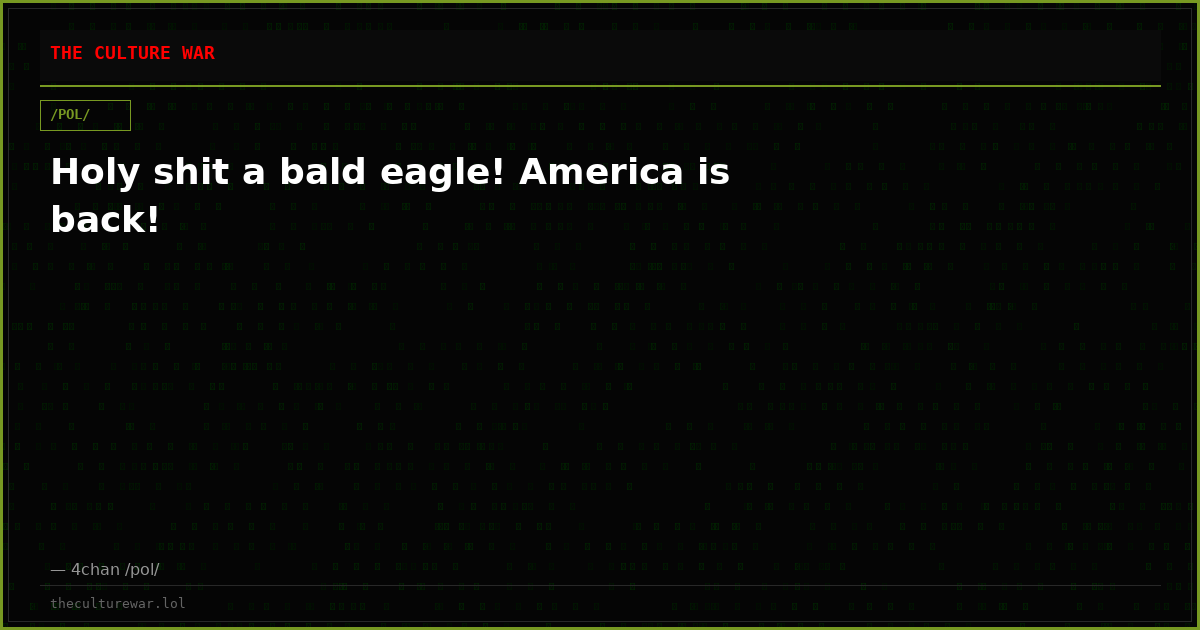 Holy shit a bald eagle! America is back!