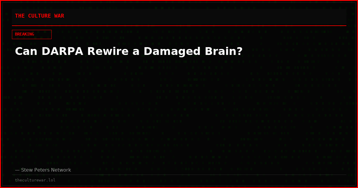 Can DARPA Rewire a Damaged Brain?
