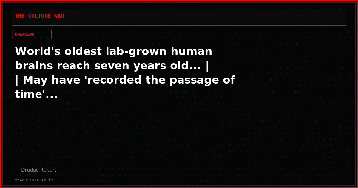 World's oldest lab-grown human brains reach seven years old... |  | May have 'recorded the passage of time'...