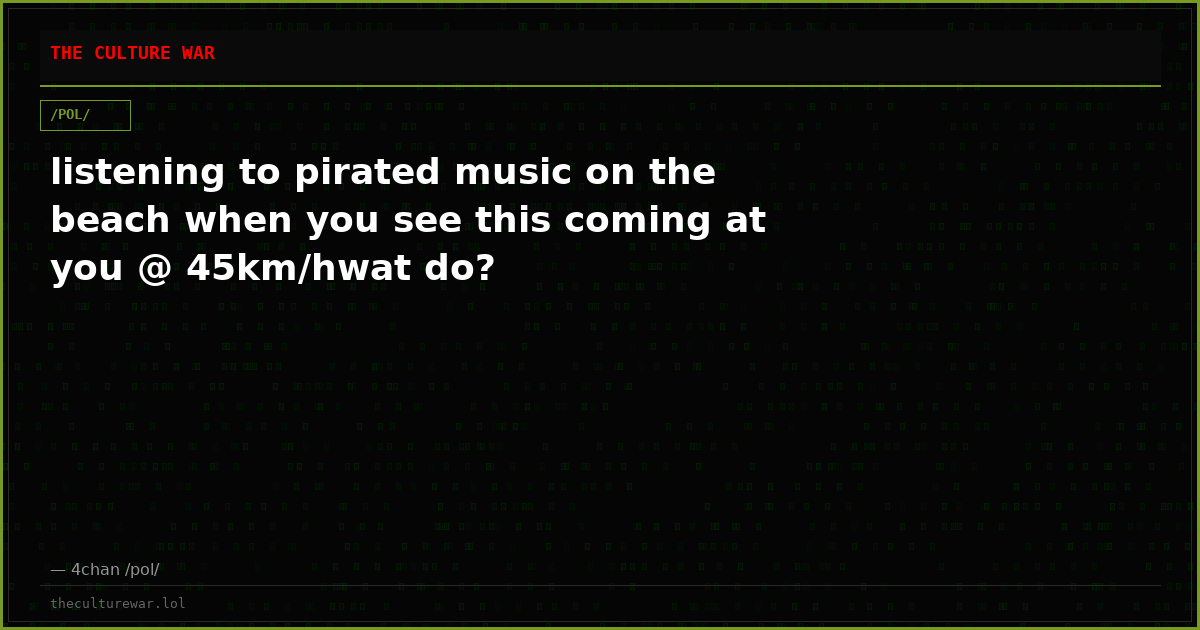 listening to pirated music on the beach when you see this coming at you @ 45km/hwat do?