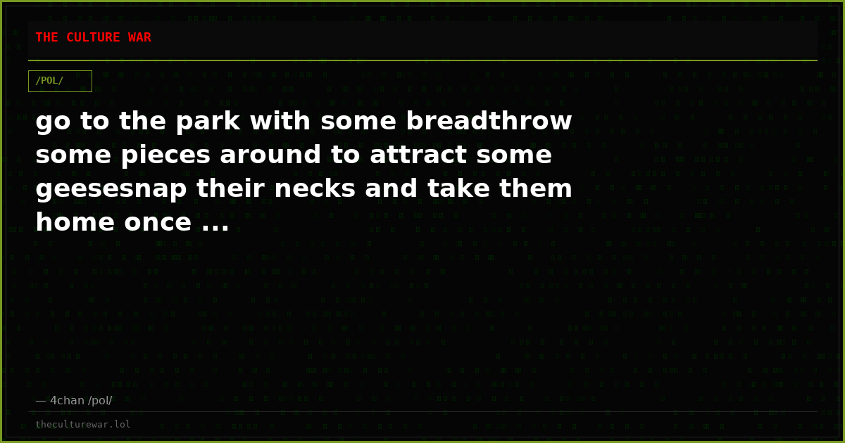 go to the park with some breadthrow some pieces around to attract some geesesnap their necks and take them home once ...