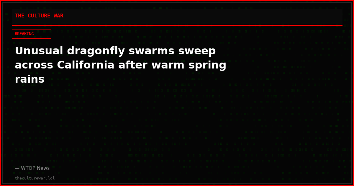 Unusual dragonfly swarms sweep across California after warm spring rains