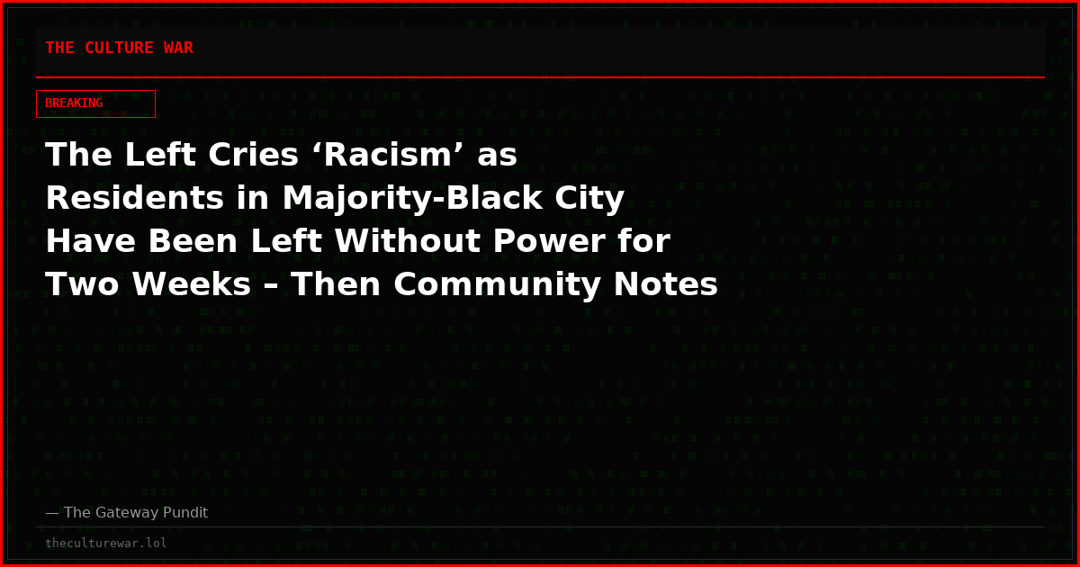 The Left Cries ‘Racism’ as Residents in Majority-Black City Have Been Left Without Power for Two Weeks – Then Community Notes Reveals the Damning Truth