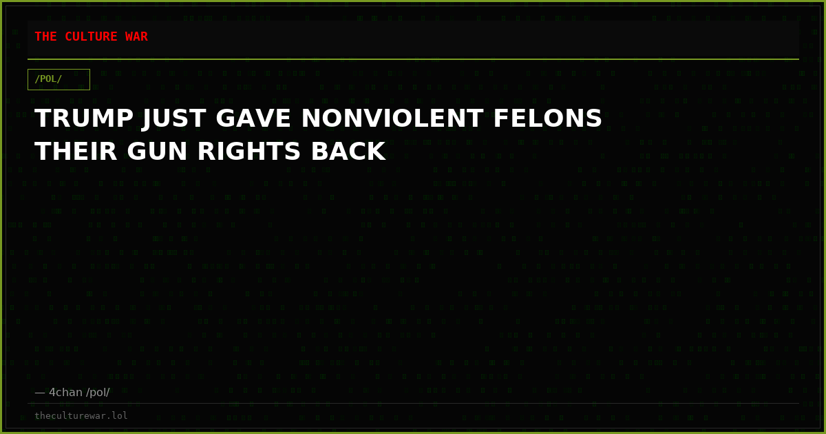 TRUMP JUST GAVE NONVIOLENT FELONS THEIR GUN RIGHTS BACK