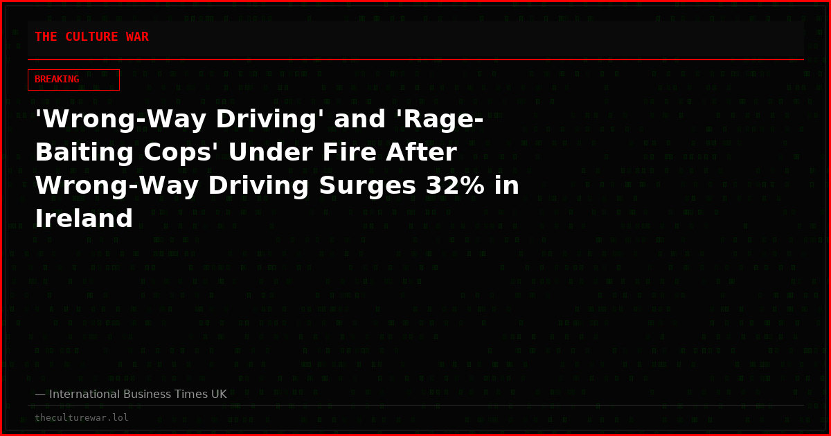 'Wrong-Way Driving' and 'Rage-Baiting Cops' Under Fire After Wrong-Way Driving Surges 32% in Ireland