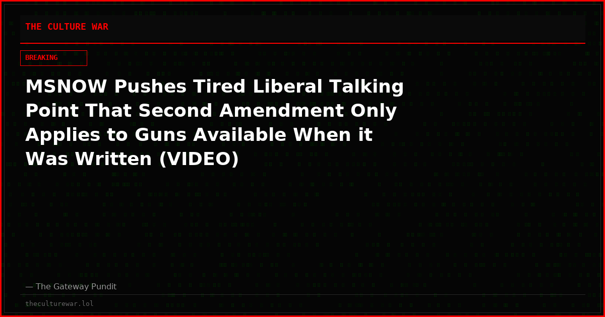 MSNOW Pushes Tired Liberal Talking Point That Second Amendment Only Applies to Guns Available When it Was Written (VIDEO)