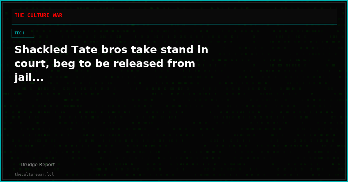 Shackled Tate bros take stand in court, beg to be released from jail...