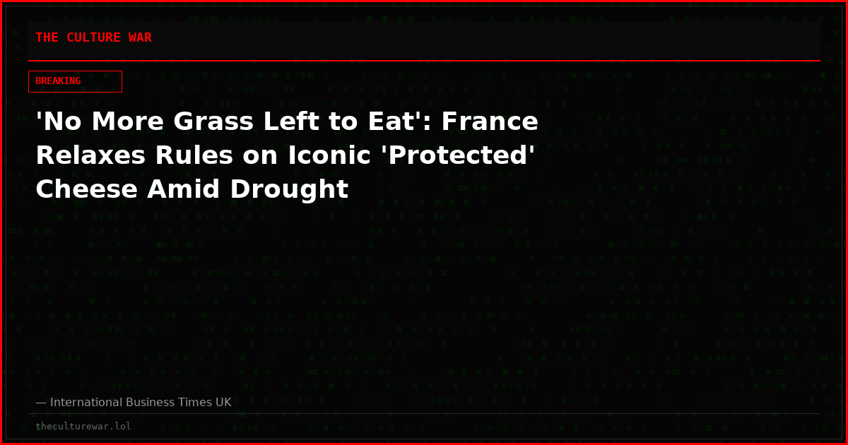 'No More Grass Left to Eat': France Relaxes Rules on Iconic 'Protected' Cheese Amid Drought