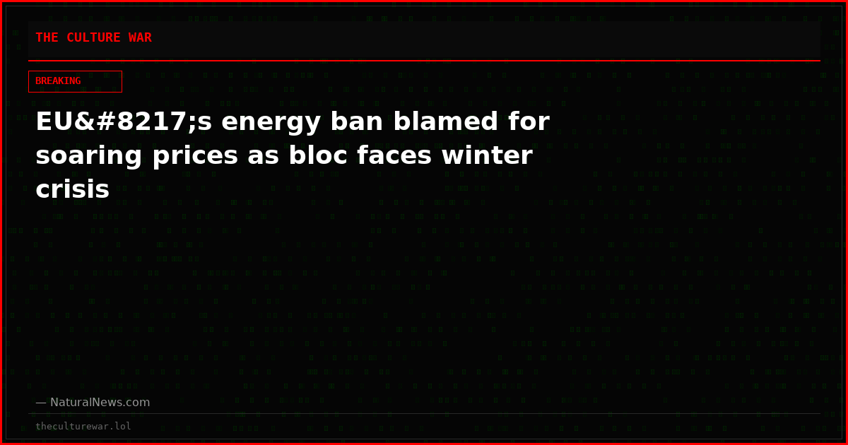 EU’s energy ban blamed for soaring prices as bloc faces winter crisis