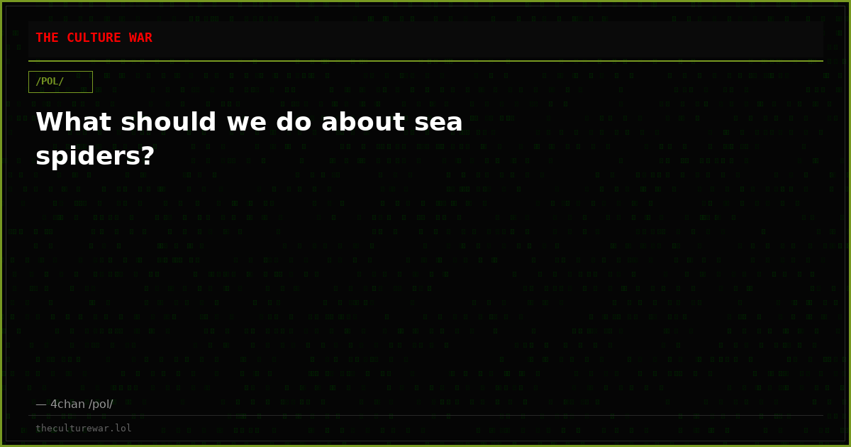 What should we do about sea spiders?