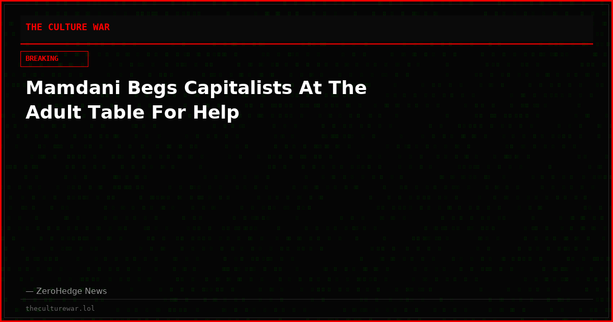 Mamdani Begs Capitalists At The Adult Table For Help
