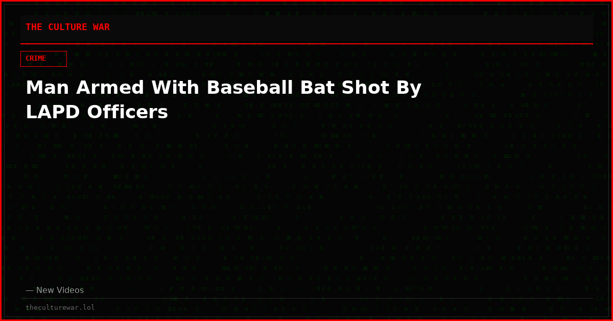Man Armed With Baseball Bat Shot By LAPD Officers