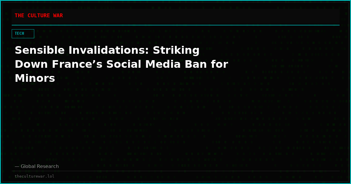 Sensible Invalidations: Striking Down France’s Social Media Ban for Minors
