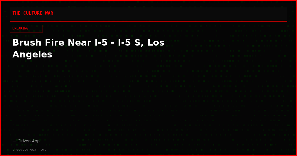 Brush Fire Near I-5 - I-5 S, Los Angeles