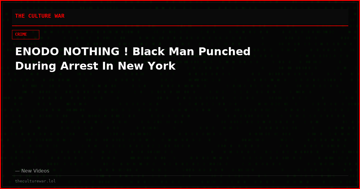 ENODO NOTHING ! Black Man Punched During Arrest In New York
