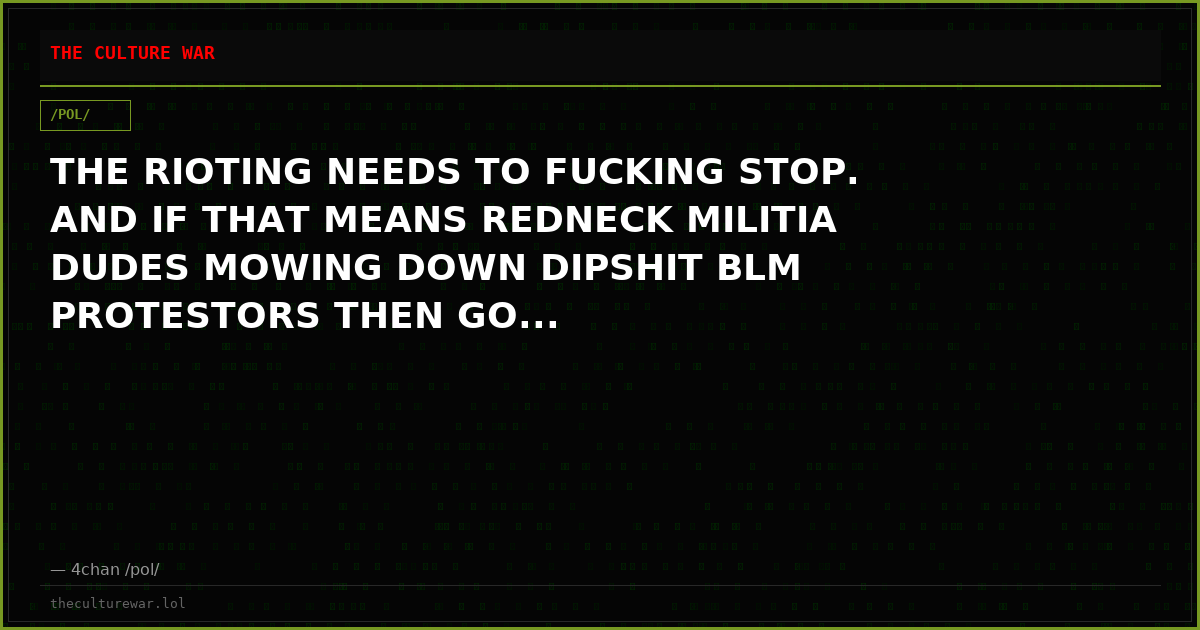 THE RIOTING NEEDS TO FUCKING STOP. AND IF THAT MEANS REDNECK MILITIA DUDES MOWING DOWN DIPSHIT BLM PROTESTORS THEN GO...