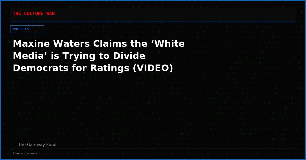 Maxine Waters Claims the ‘White Media’ is Trying to Divide Democrats for Ratings (VIDEO)