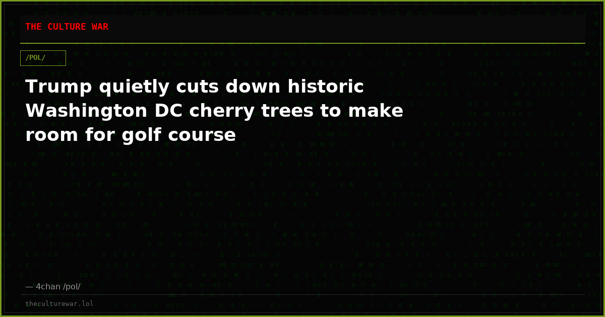 Trump quietly cuts down historic Washington DC cherry trees to make room for golf course