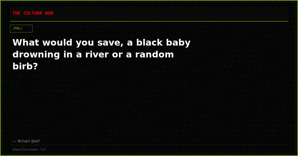 What would you save, a black baby drowning in a river or a random birb?
