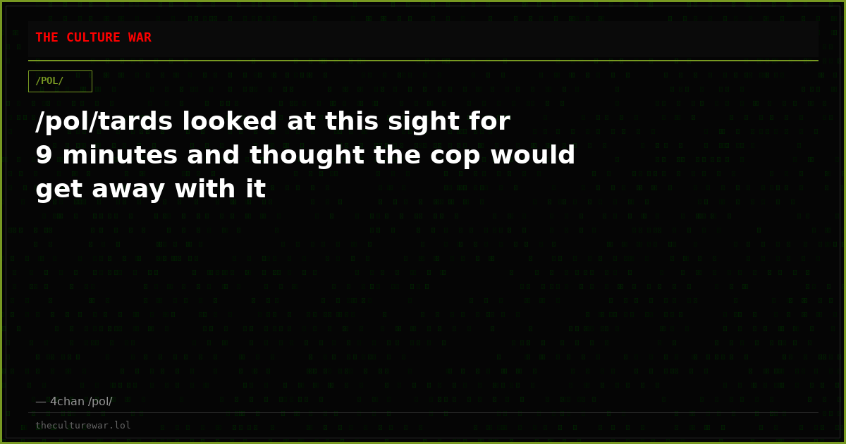 /pol/tards looked at this sight for 9 minutes and thought the cop would get away with it