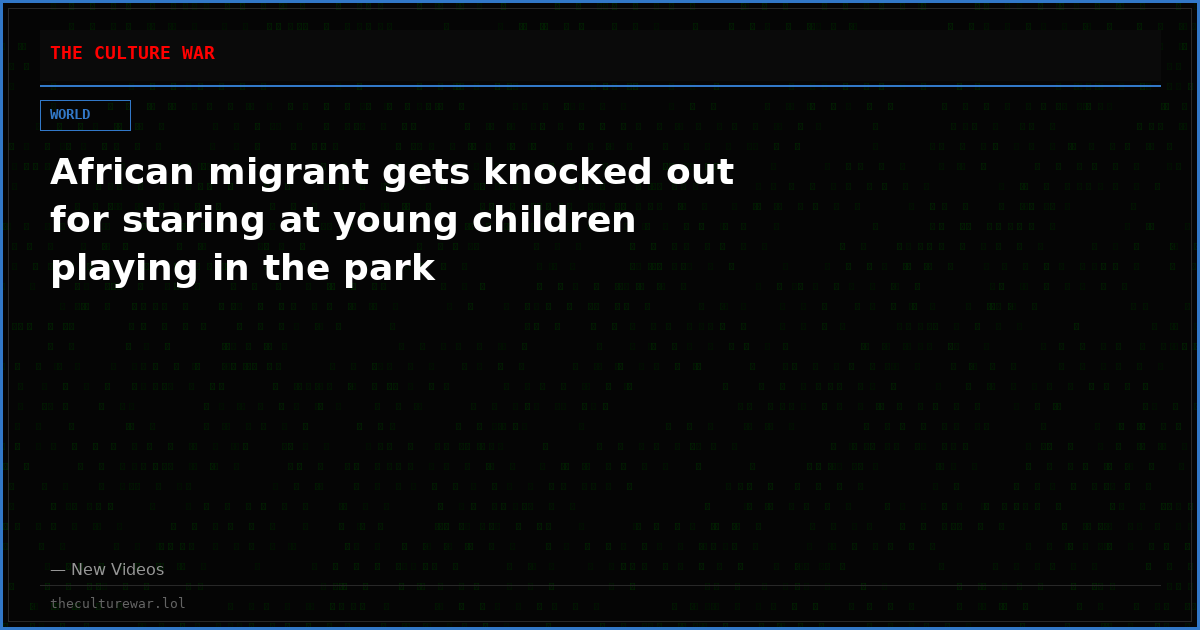 African migrant gets knocked out for staring at young children playing in the park