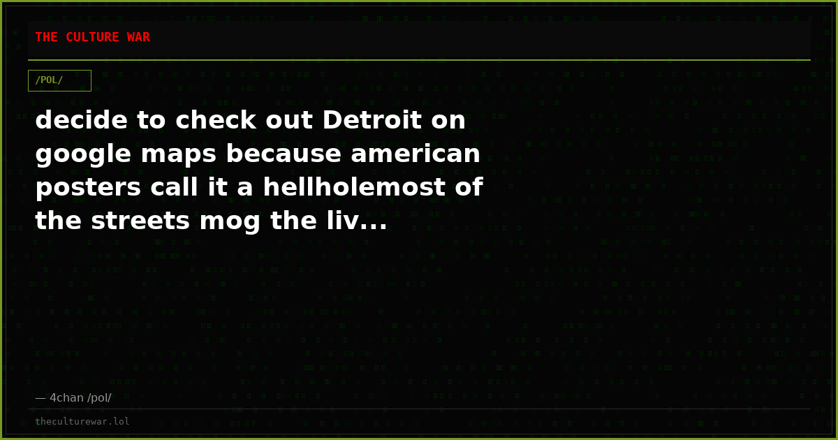 decide to check out Detroit on google maps because american posters call it a hellholemost of the streets mog the liv...