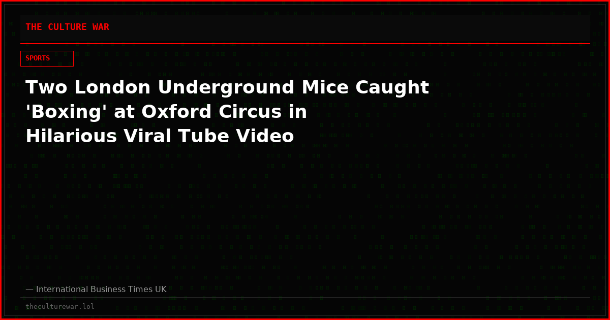 Two London Underground Mice Caught 'Boxing' at Oxford Circus in Hilarious Viral Tube Video