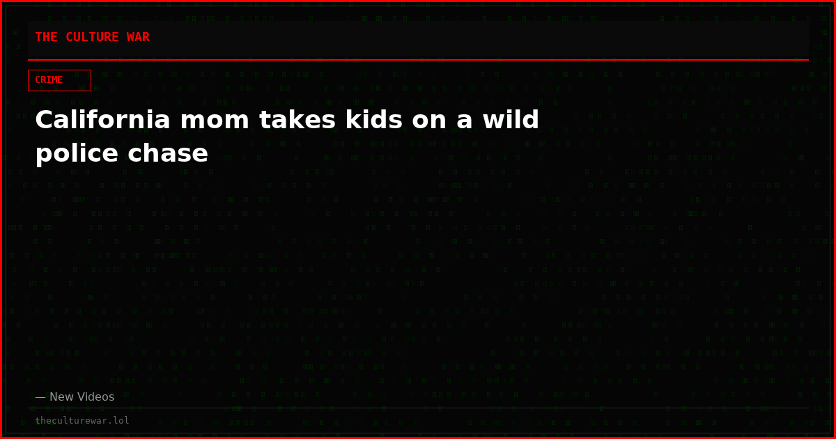 California mom takes kids on a wild police chase