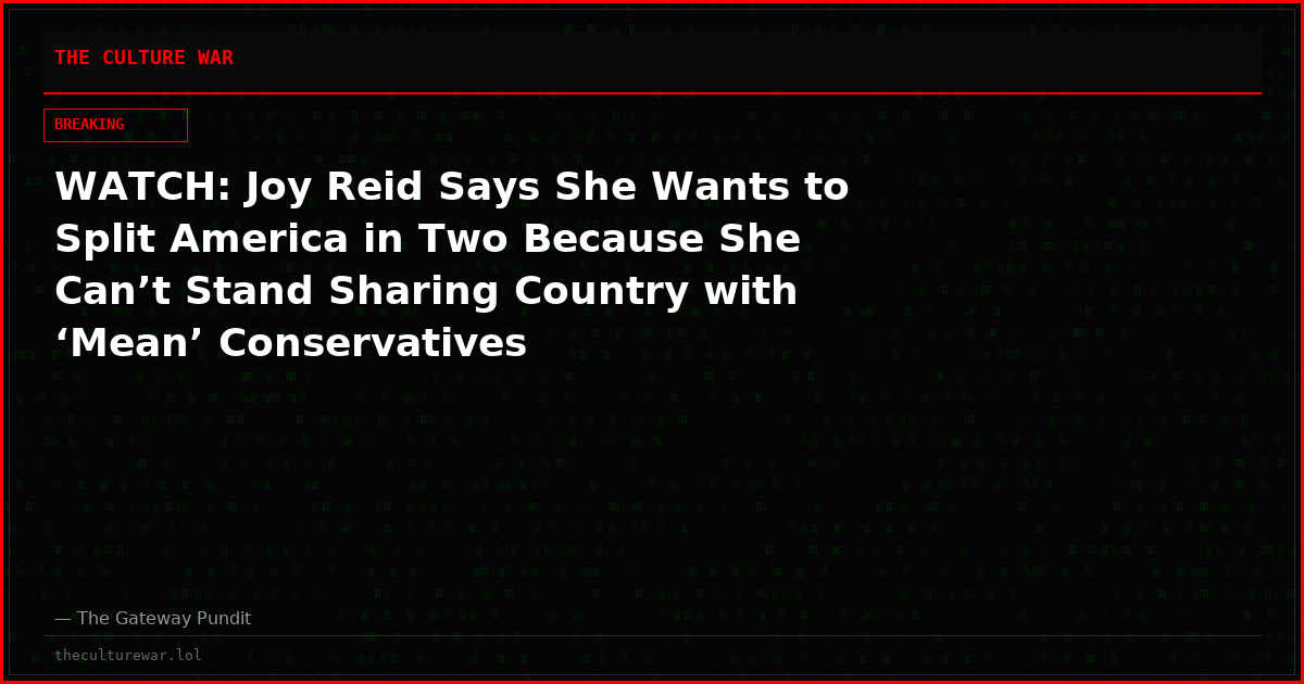 WATCH: Joy Reid Says She Wants to Split America in Two Because She Can’t Stand Sharing Country with ‘Mean’ Conservatives