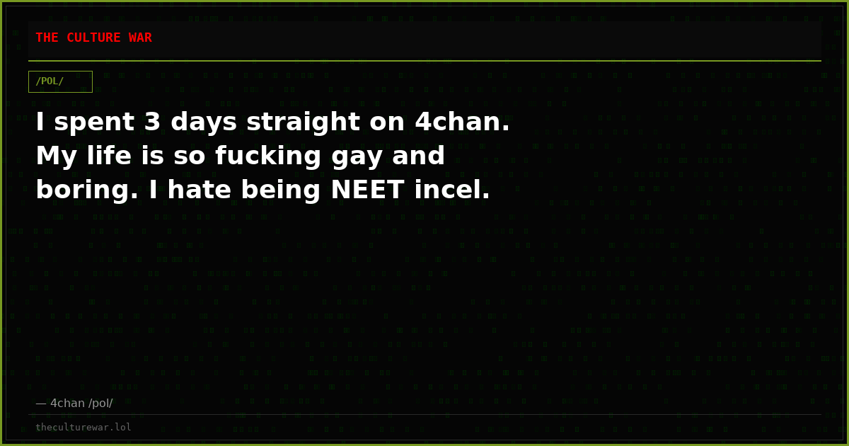 I spent 3 days straight on 4chan. My life is so fucking gay and boring. I hate being NEET incel.