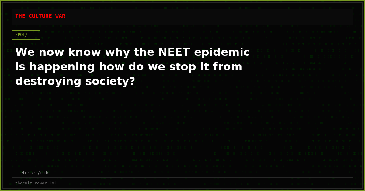 We now know why the NEET epidemic is happening how do we stop it from destroying society?