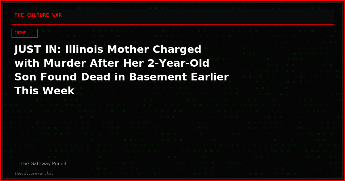 JUST IN: Illinois Mother Charged with Murder After Her 2-Year-Old Son Found Dead in Basement Earlier This Week