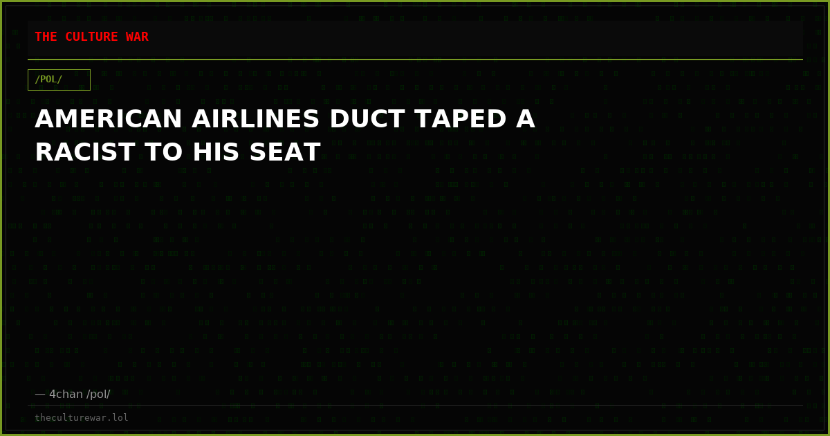 AMERICAN AIRLINES DUCT TAPED A RACIST TO HIS SEAT