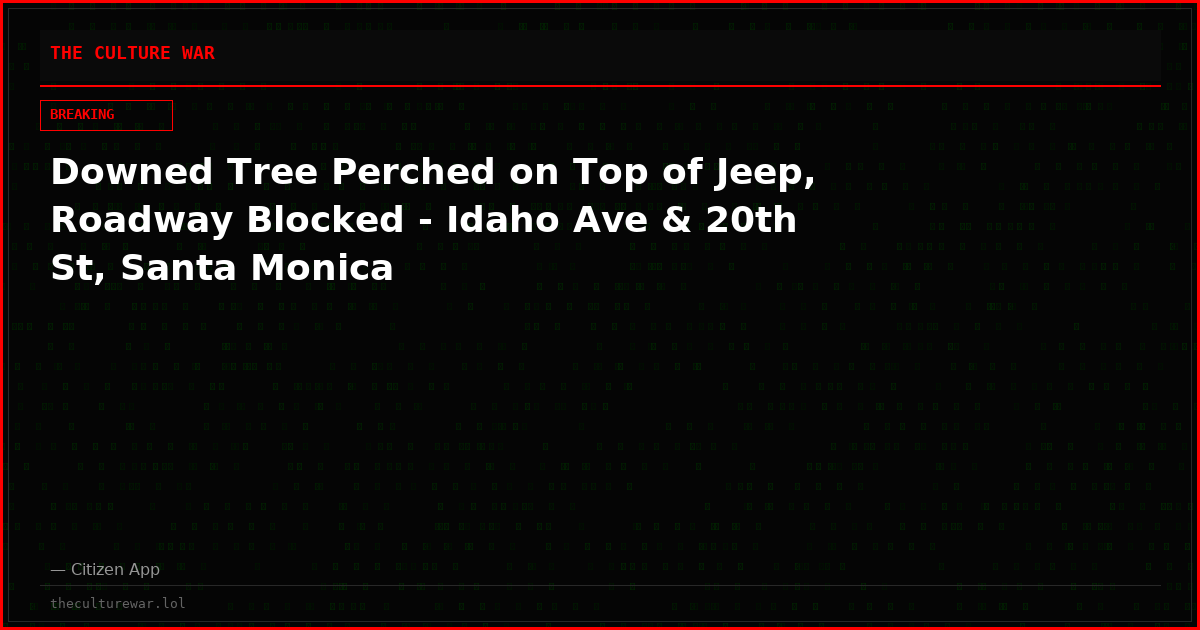 Downed Tree Perched on Top of Jeep, Roadway Blocked - Idaho Ave & 20th St, Santa Monica