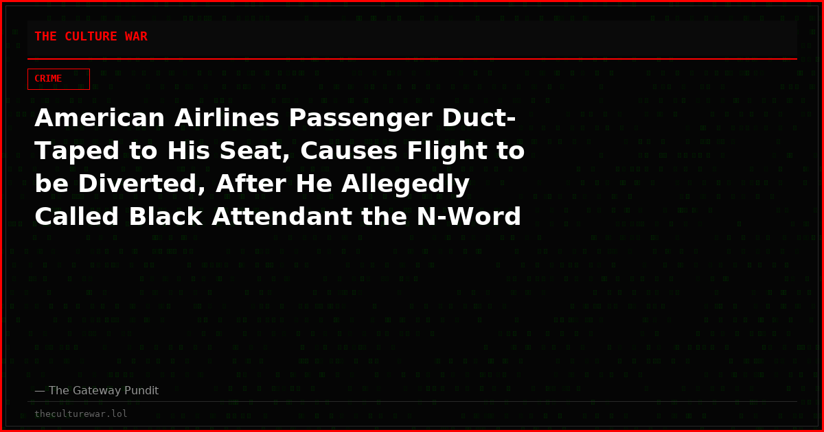 American Airlines Passenger Duct-Taped to His Seat, Causes Flight to be Diverted, After He Allegedly Called Black Attendant the N-Word and Assaulted Person Next to Him (VIDEO)