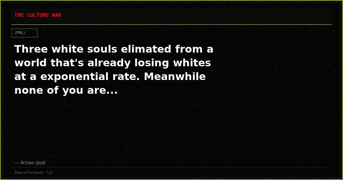 Three white souls elimated from a world that's already losing whites at a exponential rate. Meanwhile none of you are...