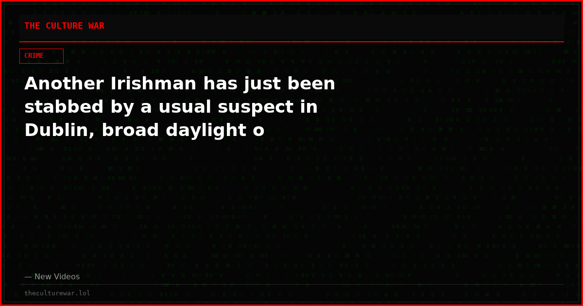 Another Irishman has just been stabbed by a usual suspect in Dublin, broad daylight o